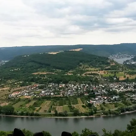 Appartamento Rheinwein 1 