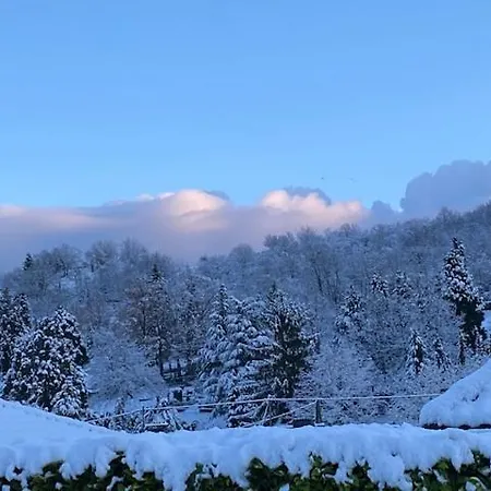 Appartamento Rheinwein 1 