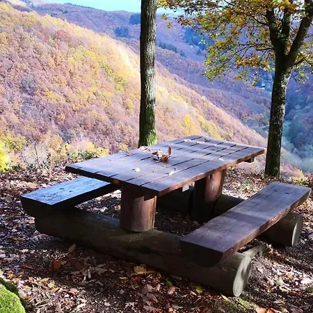 Appartamento Rheinwein 1 