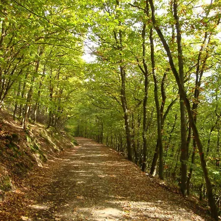 Fewo Rheinwein 1 ausgezeichnet zum wandern und radfahren mit Wallbox Apartment *