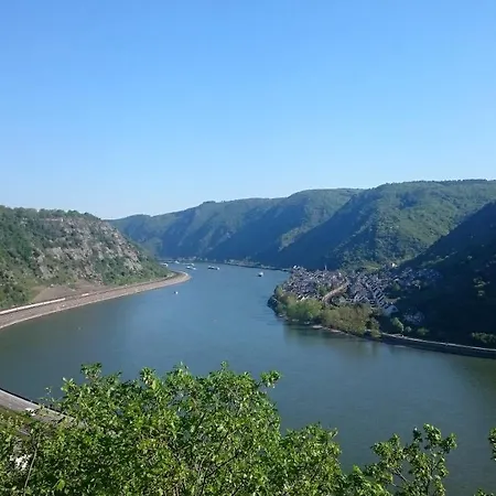 Fewo Rheinwein 1 ausgezeichnet zum wandern und radfahren mit Wallbox