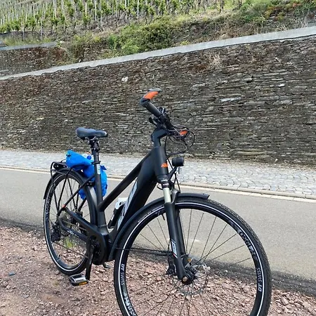 Rheinwein 1 Ausgezeichnet Zum Wandern Und Radfahren Mit Wallbox * Boppard