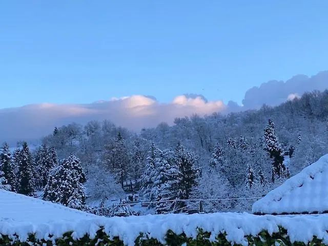 Apartamento Rheinwein 1 