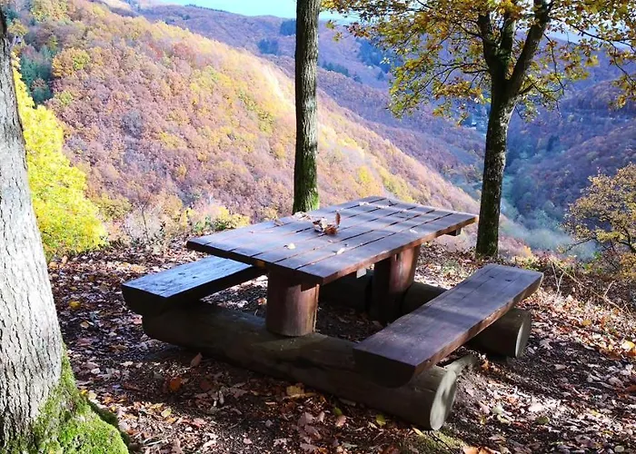 Apartamento Rheinwein 1 